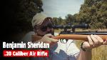 50th Anniversary Sheridan Gold Streak Rifle 5mm C9a. 20 Cal. Rare Polished Brass